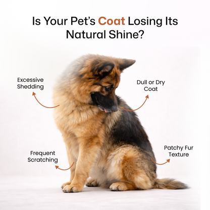 FurrMax