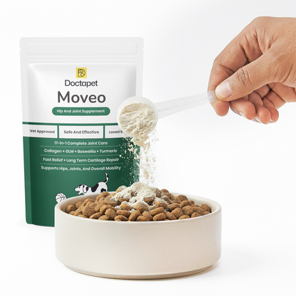 Moveo