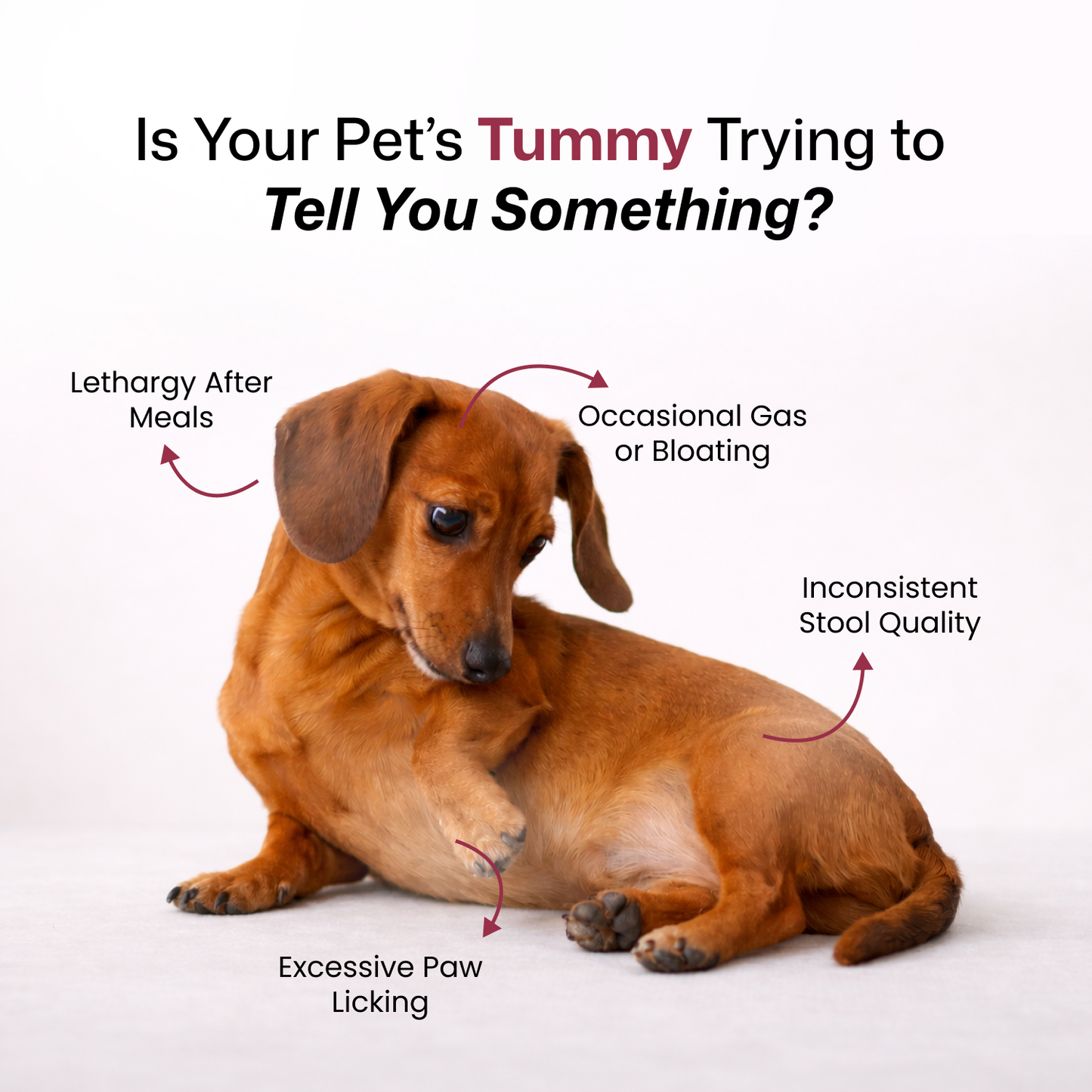 TummyBae