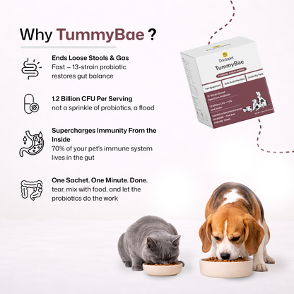 TummyBae