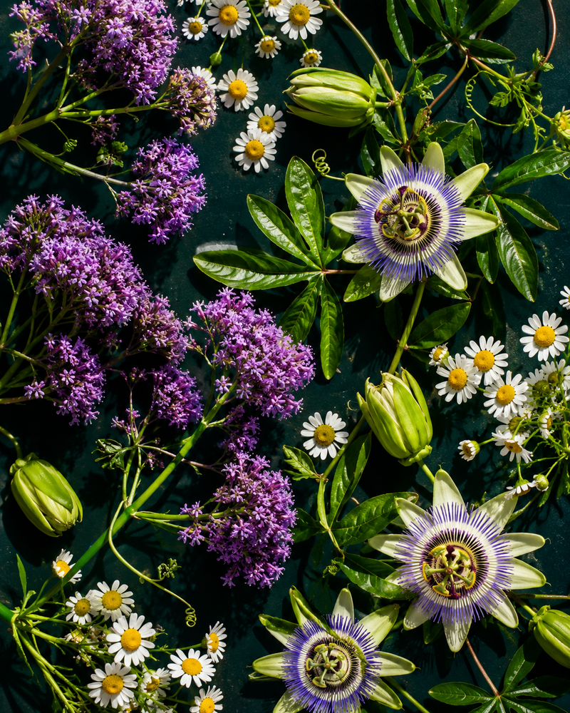 Valerian Root + L-Theanine: calm without sedation